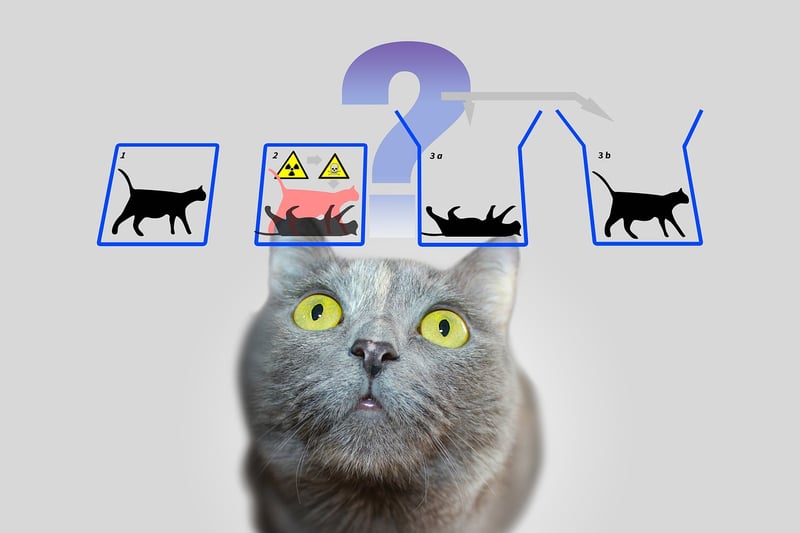 Quantum Computer